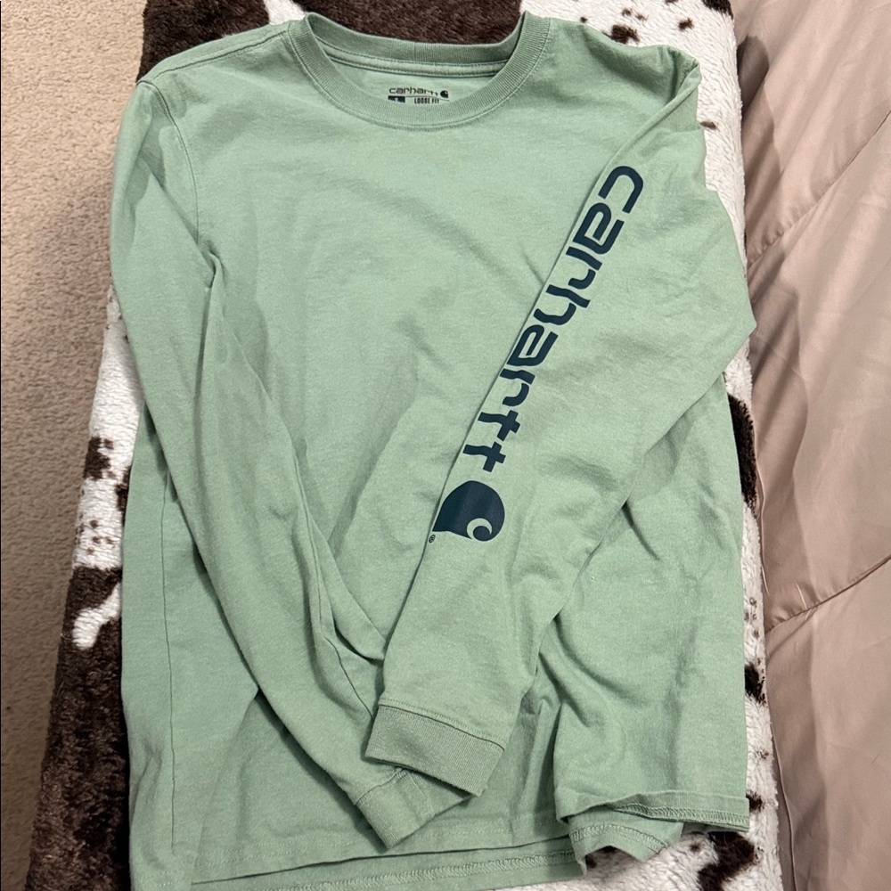 Carhartt Men's Sage Long Sleeve Tee
